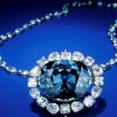 호프도둑 이미지