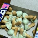 용용아이스크림할인점 이미지