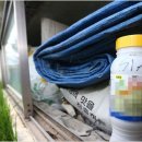 영장1리 이미지