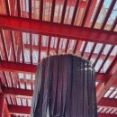 영월Y파크(술샘박물관) 이미지