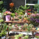 향기꽃방 이미지