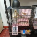 미니펫스쿨(Minipet School) 이미지