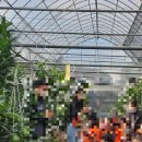 서구그린어린이집 이미지