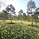 모장경로당 이미지