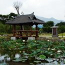 세미원 이미지