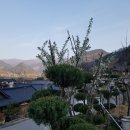 단양충전소 이미지