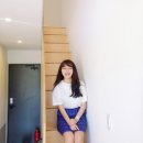스틸크로그 이미지