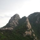 중앙행정사무소 이미지