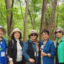 박경리뮤지엄 이미지