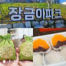 주말체험 가을 바람 떡 만들기 | 전북 정읍 장금이파크 원데이 클래스 향낭만들기 / 과일찹쌀떡 체험 후기