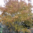 거북이여인숙 이미지