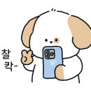 성일중학교 이미지