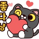 송도 아이본 동물의료센터 이미지