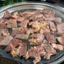 마석고기