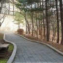 둔전공원 이미지