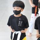 강화 태권도장 이미지