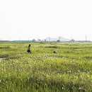 바람불어 좋은날 이미지