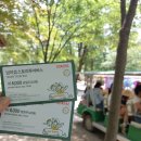 칸스토리 | 춘천 남이섬 놀거리 자전거 대신 스토리 투어버스 나눔 열차 추천