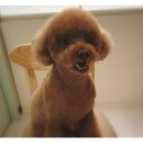 더바름동물병원 이미지