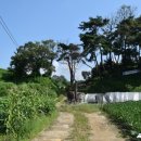 교산동 건물지 이미지