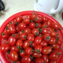 승아농장 이미지