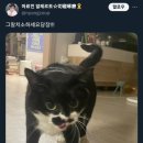 정담약국 이미지