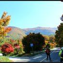 치목경로당 이미지