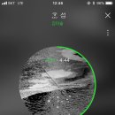 서울국시 이미지