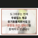 도그마루 노원점 이미지