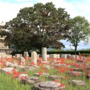 천년나무4단지작은도서관 이미지