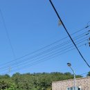 고목나무집 이미지