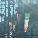 가창로 | [대구] 네이처파크 백사자와 산책하기 갔다가 동물들 실컷본 성공적인 대구 데이트코스