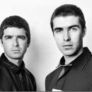 오아시스 이미지