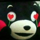 코코들 이미지