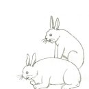 보한의원 이미지