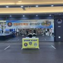 킹콩 복싱 아카데미 이미지