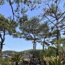 전라도밥집 이미지