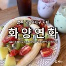 하남초등학교 | 광주 딸기라떼 맛집 하남3지구 카페 화양연화 광주점