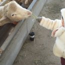 덕성목장 이미지