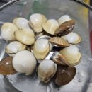 우리 두리 펜션 | 서해 갯벌 맛조개 체험 / 태안 우리두리펜션 후기
