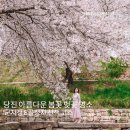 골정지 네이버블로그