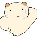 효자막창 아산배방점