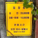 횡성 가볼만한 곳 미술관 자작나무숲 입장료 카페 후기
