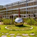 우포 잠자리 나라 이미지