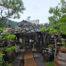 메밀꽃 화장실 | 강원도 평창 봉평 맛집, 메밀의 향이 살아있는 메밀꽃필무렵 후기