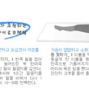 바른자세 테라피 이미지