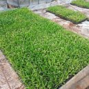 제주 토브 이미지