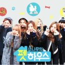 소나무하우스 이미지