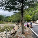 돌고래오토캠핑장2 이미지