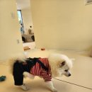 로엘유치원 이미지